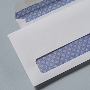 Security Envelope Detail